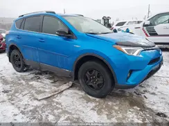 JTMJJREV4HD099923 2017 TOYOTA RAV 4
