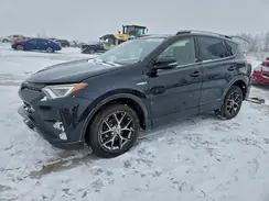 JTMJJREV5HD110444 2017 TOYOTA RAV 4