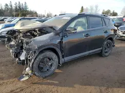 JTMJJREV7JD257161 2018 TOYOTA RAV 4