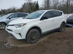 JTMJJREV8HD090383 2017 TOYOTA RAV 4