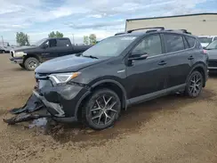 JTMJJREVXHD083158 2017 TOYOTA RAV 4