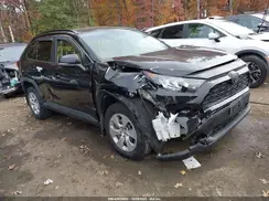 JTMK1RFV0KJ006388 2019 TOYOTA RAV 4