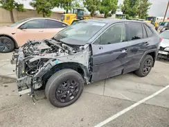 JTMK1RFV0SD134404 2025 TOYOTA RAV 4