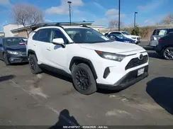 JTMK1RFV1KD500743 2019 TOYOTA RAV 4