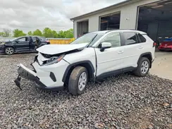 JTMK1RFV5KD008085 2019 TOYOTA RAV 4