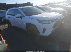 JTMK1RFV5KD022116 2019 TOYOTA RAV 4