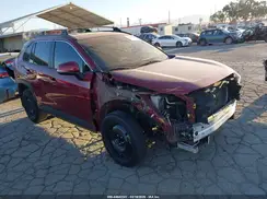 JTMK1RFV5KD040891 2019 TOYOTA RAV 4