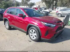 JTMK1RFV5SD134205 2025 TOYOTA RAV 4
