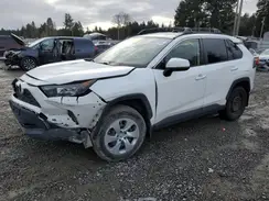 JTMK1RFV6KJ002619 2019 TOYOTA RAV 4