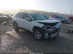 JTMK1RFV7KD505560 2019 TOYOTA RAV 4