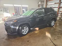 JTMLWRFV0KD514669 2019 TOYOTA RAV 4