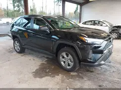 JTMLWRFV0PD172146 2023 TOYOTA RAV 4