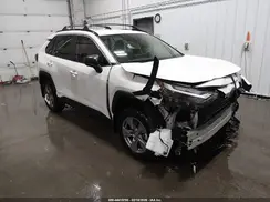 JTMLWRFV0RD272850 2024 TOYOTA RAV 4