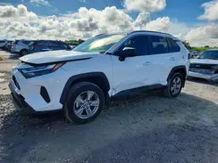 JTMLWRFV0SD594507 2025 TOYOTA RAV 4