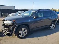 JTMLWRFV1LD069831 2020 TOYOTA RAV 4