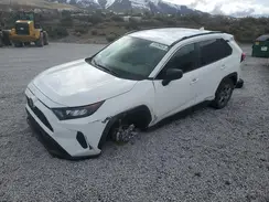 JTMLWRFV1ND138651 2022 TOYOTA RAV 4
