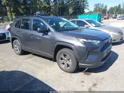 JTMLWRFV1RD228209 2024 TOYOTA RAV 4