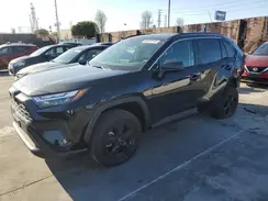 JTMLWRFV1RD266300 2024 TOYOTA RAV 4