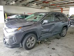 JTMLWRFV1RD269228 2024 TOYOTA RAV 4