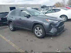 JTMLWRFV1SD335556 2025 TOYOTA RAV 4