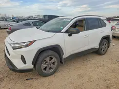 JTMLWRFV1SD593320 2025 TOYOTA RAV 4