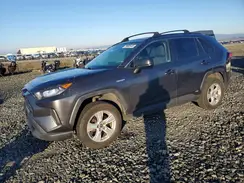 JTMLWRFV2KD023553 2019 TOYOTA RAV 4