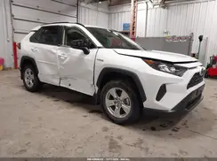 JTMLWRFV2MD129486 2021 TOYOTA RAV 4