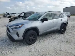 JTMLWRFV2RD242443 2024 TOYOTA RAV 4