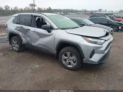 JTMLWRFV2RD244077 2024 TOYOTA RAV 4