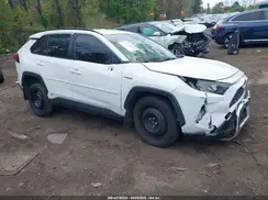 JTMLWRFV3MD114964 2021 TOYOTA RAV 4