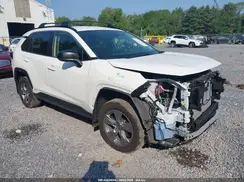 JTMLWRFV3PD188020 2023 TOYOTA RAV 4