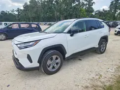 JTMLWRFV3SD331492 2025 TOYOTA RAV 4