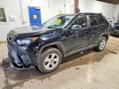JTMLWRFV4KD023103 2019 TOYOTA RAV 4