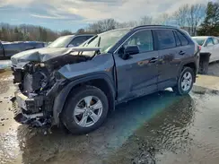 JTMLWRFV4RD212568 2024 TOYOTA RAV 4