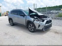 JTMLWRFV4RD234716 2024 TOYOTA RAV 4