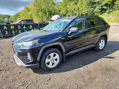 JTMLWRFV5KD026382 2019 TOYOTA RAV 4