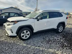 JTMLWRFV5KD026818 2019 TOYOTA RAV 4