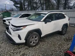 JTMLWRFV5PD195244 2023 TOYOTA RAV 4