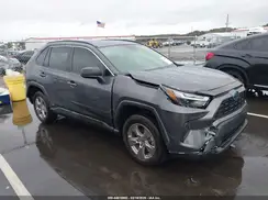 JTMLWRFV5RD223028 2024 TOYOTA RAV 4