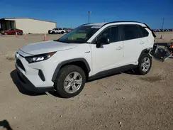 JTMLWRFV6MD129216 2021 TOYOTA RAV 4