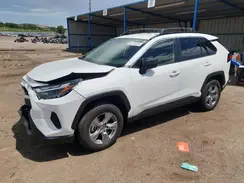 JTMLWRFV6RD208702 2024 TOYOTA RAV 4