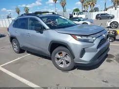 JTMLWRFV6RD243093 2024 TOYOTA RAV 4
