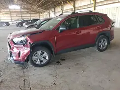 JTMLWRFV6RD258130 2024 TOYOTA RAV 4