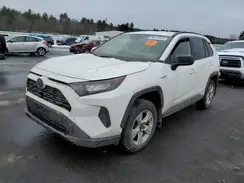 JTMLWRFV7KD025296 2019 TOYOTA RAV 4