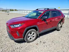 JTMLWRFV7KD041899 2019 TOYOTA RAV 4