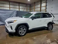 JTMLWRFV7RD245161 2024 TOYOTA RAV 4
