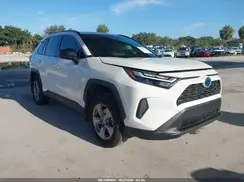 JTMLWRFV7RD245807 2024 TOYOTA RAV 4
