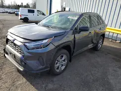 JTMLWRFV7RD254572 2024 TOYOTA RAV 4