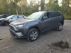 JTMLWRFV9ND151891 2022 TOYOTA RAV 4