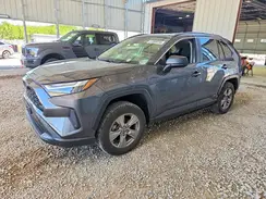 JTMLWRFV9PD171433 2023 TOYOTA RAV 4